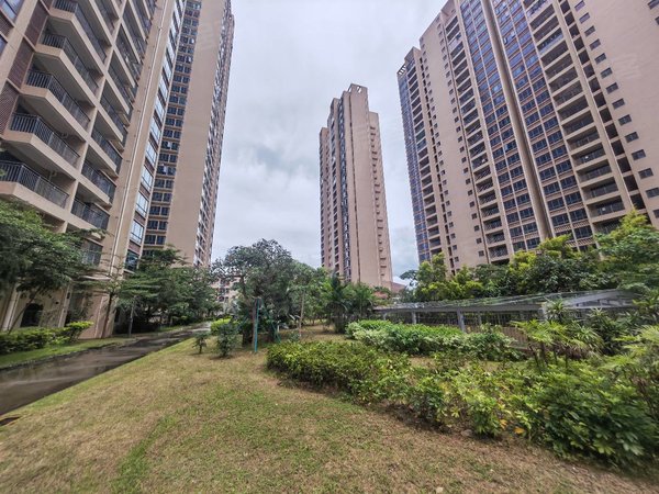 深圳坪山坪山香江花园(可合租)整租近比亚迪对面星星科技园 走路上班