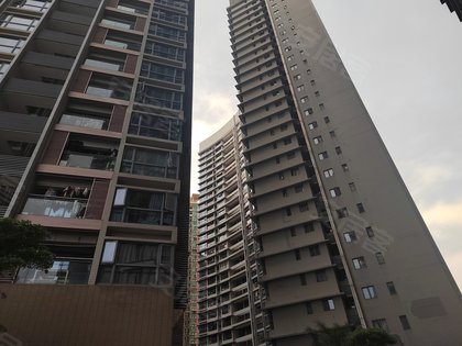金地名津商住楼