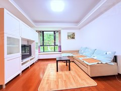 上海浦东三林自住 出租  商品房小区 环境好  安保好  停车方便出租房源真实图片