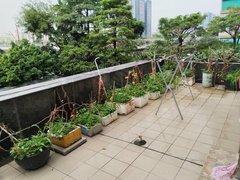 深圳宝安宝安机场雅乐居金装两房，带超大露台，带花园，很漂亮，欢迎来电咨询出租房源真实图片