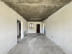 深圳龙岗龙岗中心城振业天峦 3室2厅1卫 电梯房 88平米出租房源真实图片