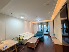 泰州海陵城中可短租可月付金鹰旁茂业豪园1室1厅精装好房设施齐全拎包入住出租房源真实图片