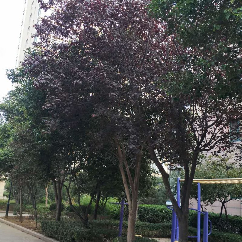 【文博苑, 文博苑小区详情,房价走势,房源,业主论坛】- 济南58同城