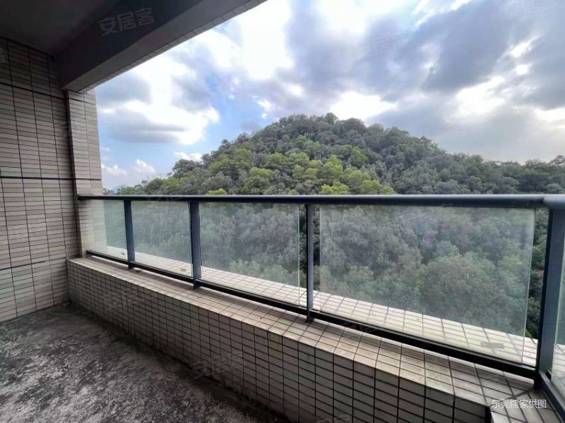 天骄御峰花园 毛坯四房 双地铁口 房龄新 南向采光好 满五年