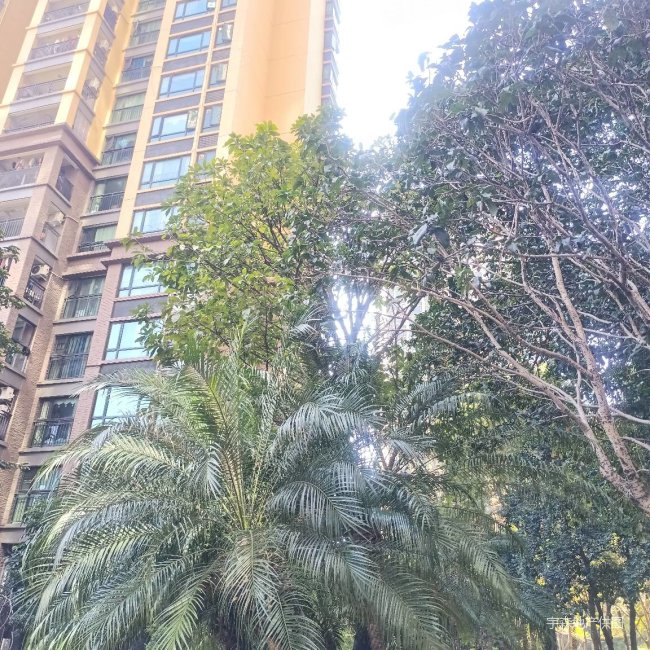 东莞房产网>东莞二手房>东城二手房>上下桥二手房>嘉宏锦园>650_650