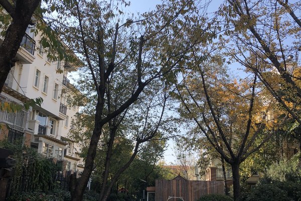 玫瑰湾优点,不足,玫瑰湾怎么样,玫瑰湾周边房产中介经纪人评价-昆明