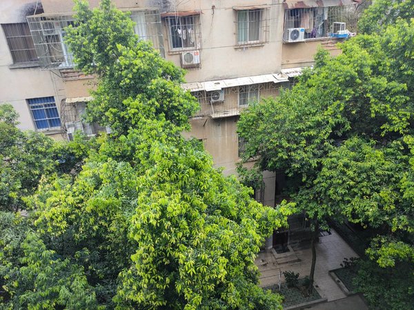 南宁青秀新竹新竹小区新竹小区 2室1厅1卫 南北通透 60平 精装修出租