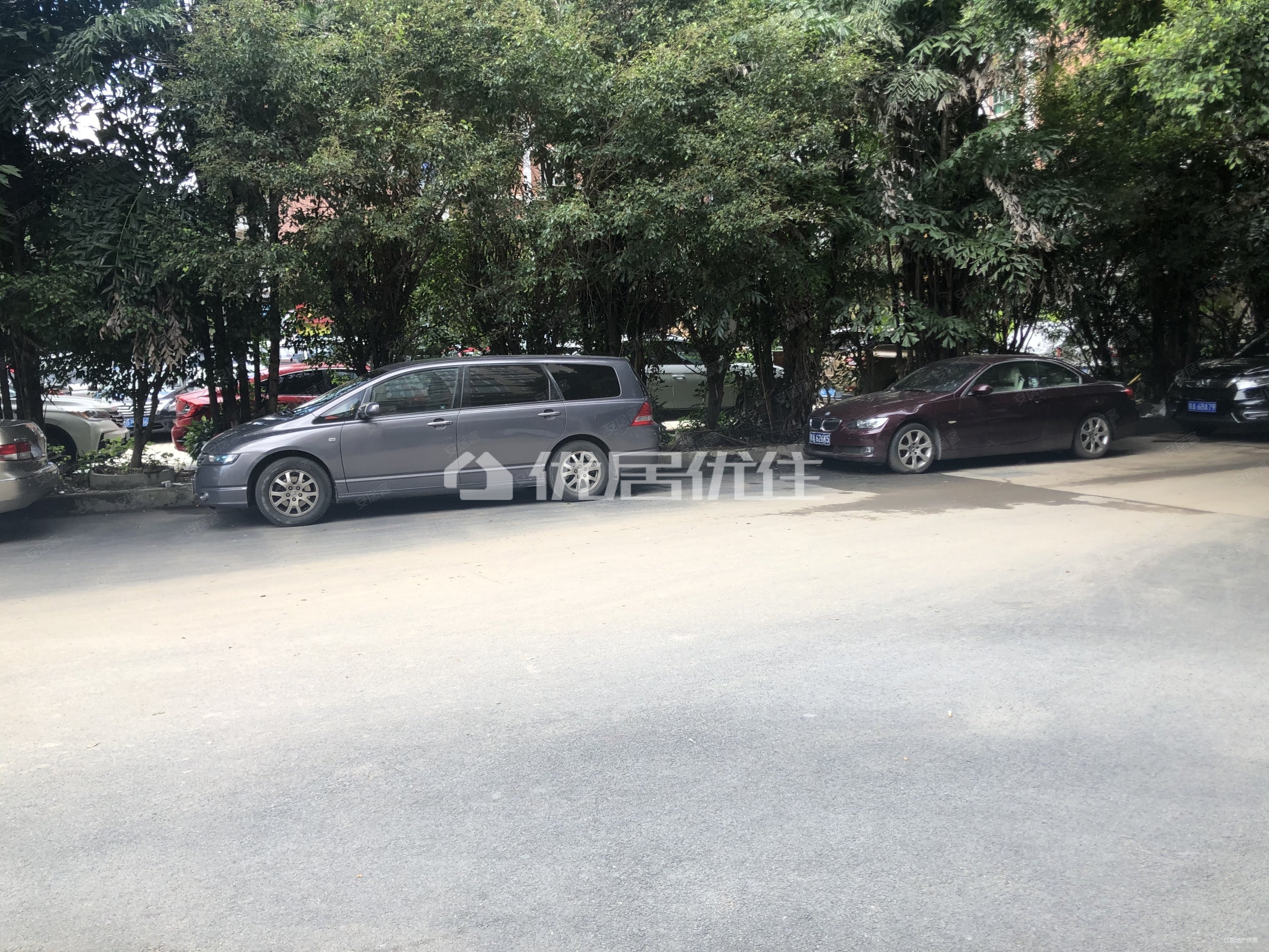 新鸿花园二期 中层2房 靓景观