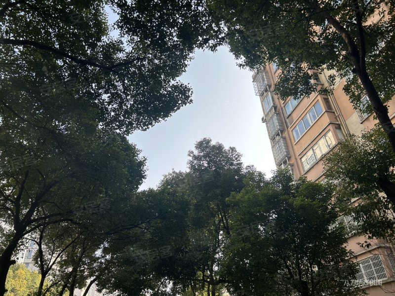 浔阳江畔3室2厅1卫110㎡南北55.5万