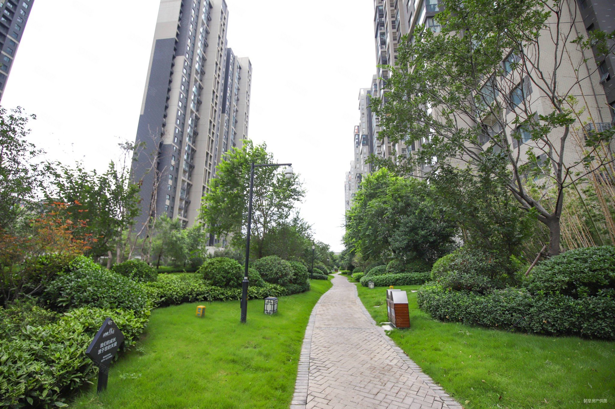 降价业主急售建业桂园精装两室还能砍价送家具家电