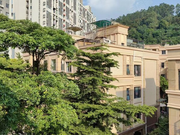 广州黄埔科学城黄埔万科城(别墅)科学城6号线金峰地铁站旁万科城别墅6