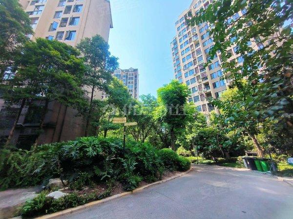 重庆渝北回兴南方玫瑰城黄瑰苑b1区玫瑰城  精装两房 干净整洁拎包