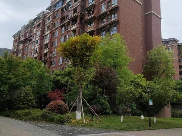 重庆北碚龙凤桥天生丽街城南新区天生丽街精装房出租紧邻地铁出租房源