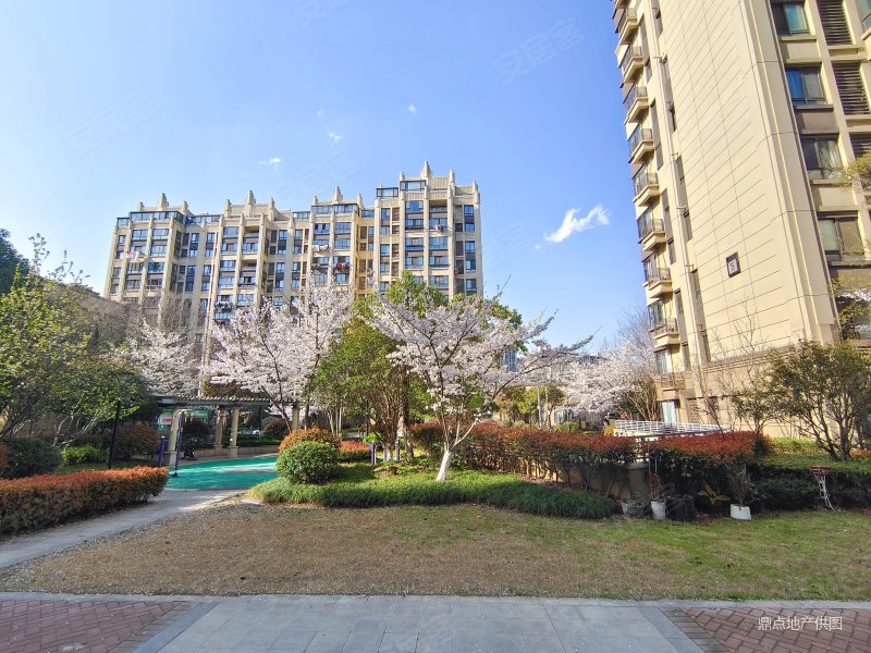 明发云庭3室2厅2卫127㎡南北250万