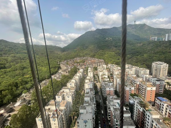 深圳罗湖莲塘东海富汇豪庭东海富汇豪庭 3室2厅1卫租 配套齐全 精装修