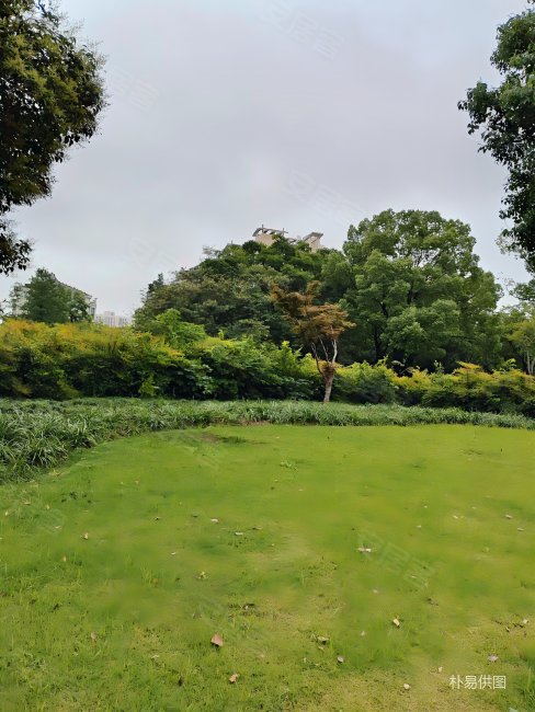 巴比伦花园一楼复试带大露台256平米可做5房急售