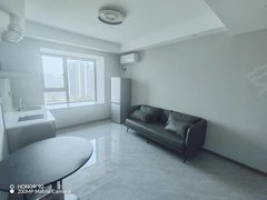 温岭温岭市区锦江中心湖悦华庭一室一厅一卫双朝南精装修包物业宽带宝龙人民医院附近出租房源真实图片