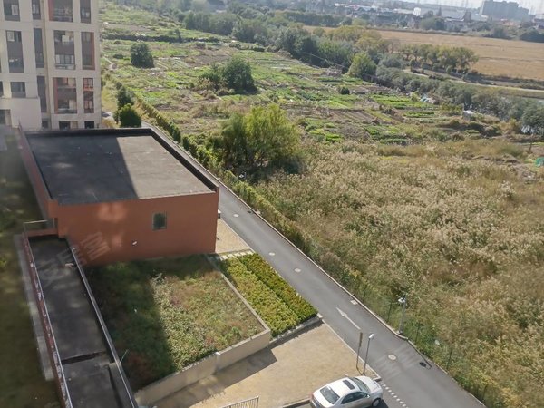 上海嘉定黄渡黄渡春城江心月庐直租 近同济大学 同济大学 曹安公路