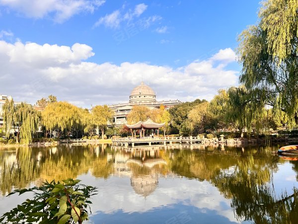 上海松江九亭三盛颐景园(公寓住宅)三盛 拎包入新上特价房源!