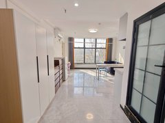 合肥政务天鹅湖可短租 天鹅湖万达一室一厅 近平安大厦市政务中心水墨兰庭出租房源真实图片