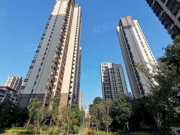 【多图】恒宇国际首府(商住楼),青口租房,单身公寓!独立房间!