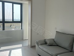 泰州海陵京泰路新装修品牌家电，出租，现场实拍精致干净，价300出租房源真实图片