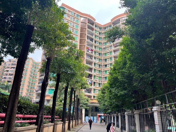 广州白云三元里金桂园金桂园 4房2厅2卫 部分家私家电 吉屋方便看房