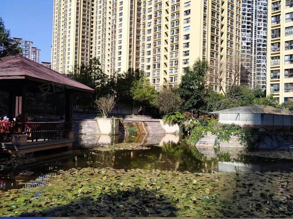 【多图】春城慧谷(2期),高新区租房,五华区春城慧谷二期精装修2室2厅