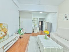 武汉青山和平大道5号线青宜居地铁 精装修两居室 超高性价比 武商奥莱 印象城出租房源真实图片