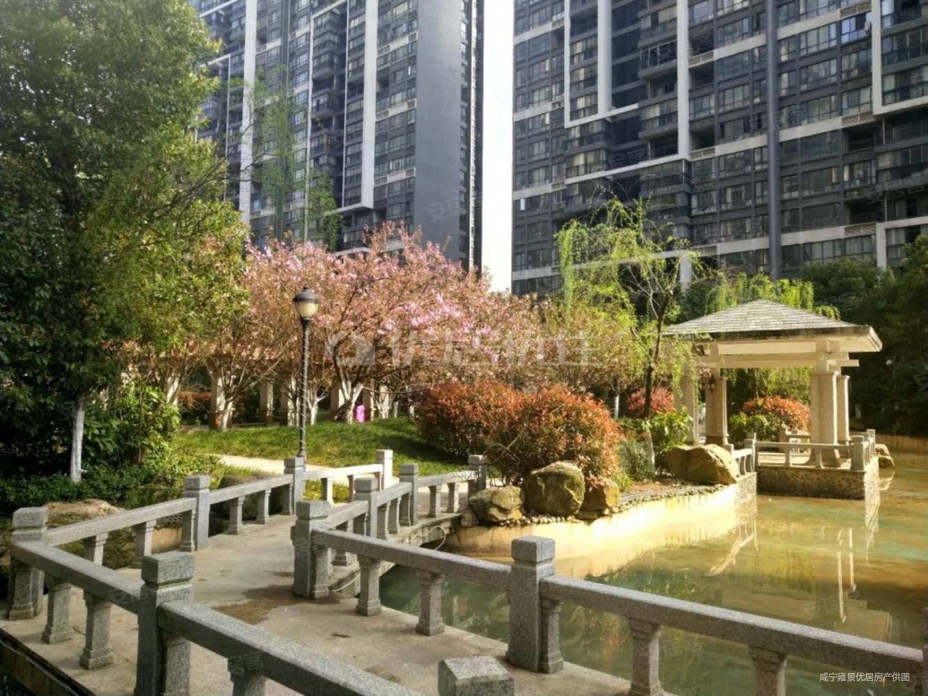 房东直降五万高铁片区木田学区雍景新城南北通透毛坯现房
