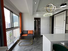 上海浦东张江2号线广兰路 樟盛苑精装独立一室一厅 燃气厨卫出租房源真实图片