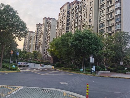 泗泾新苑西区