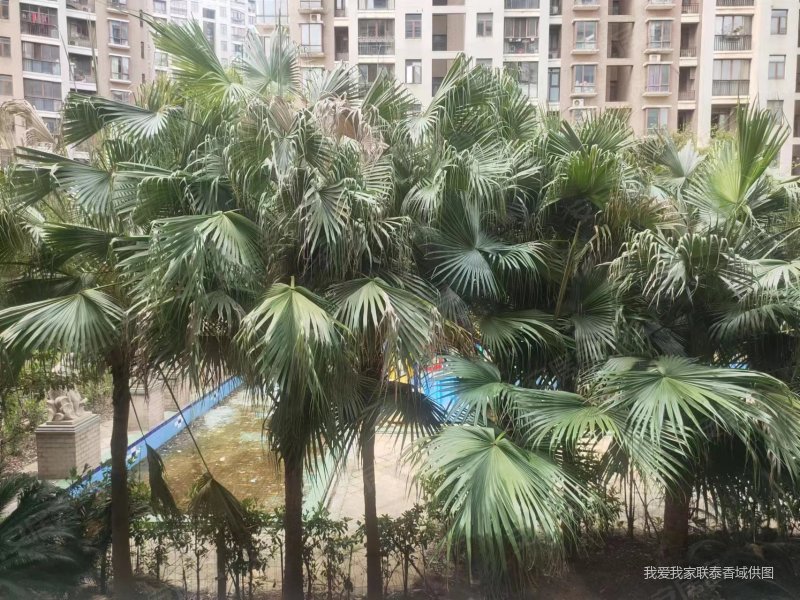 联泰香域滨江房东诚心出售带车位