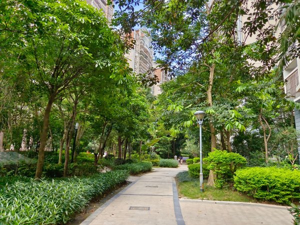 南宁青秀凤岭北维也纳森林长湖路维也纳森林 精装三房高层朝南 干净