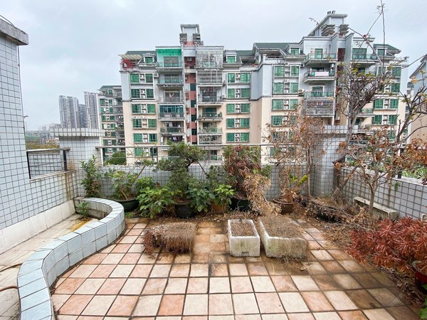 夏湾租房,带平台 银石雅园顶楼复式出租 随时可以看房,香洲租房-珠海