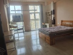 蚌埠龙子湖大学城龙湖春天学府公寓一室一厅，设施齐全，领包入住，随时看房出租房源真实图片