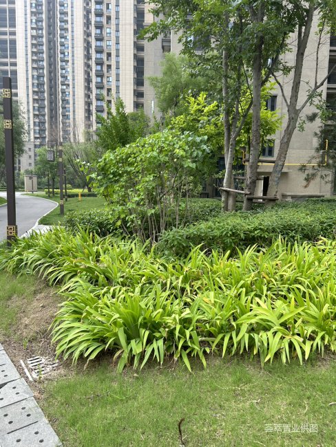 地铁口,恒大雅苑二手房,99万,4室2厅,2卫,146平米-西安安居客