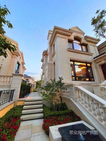 麓山国际带私人车库(独门独院丨前后双花园)大牌家具家电全带