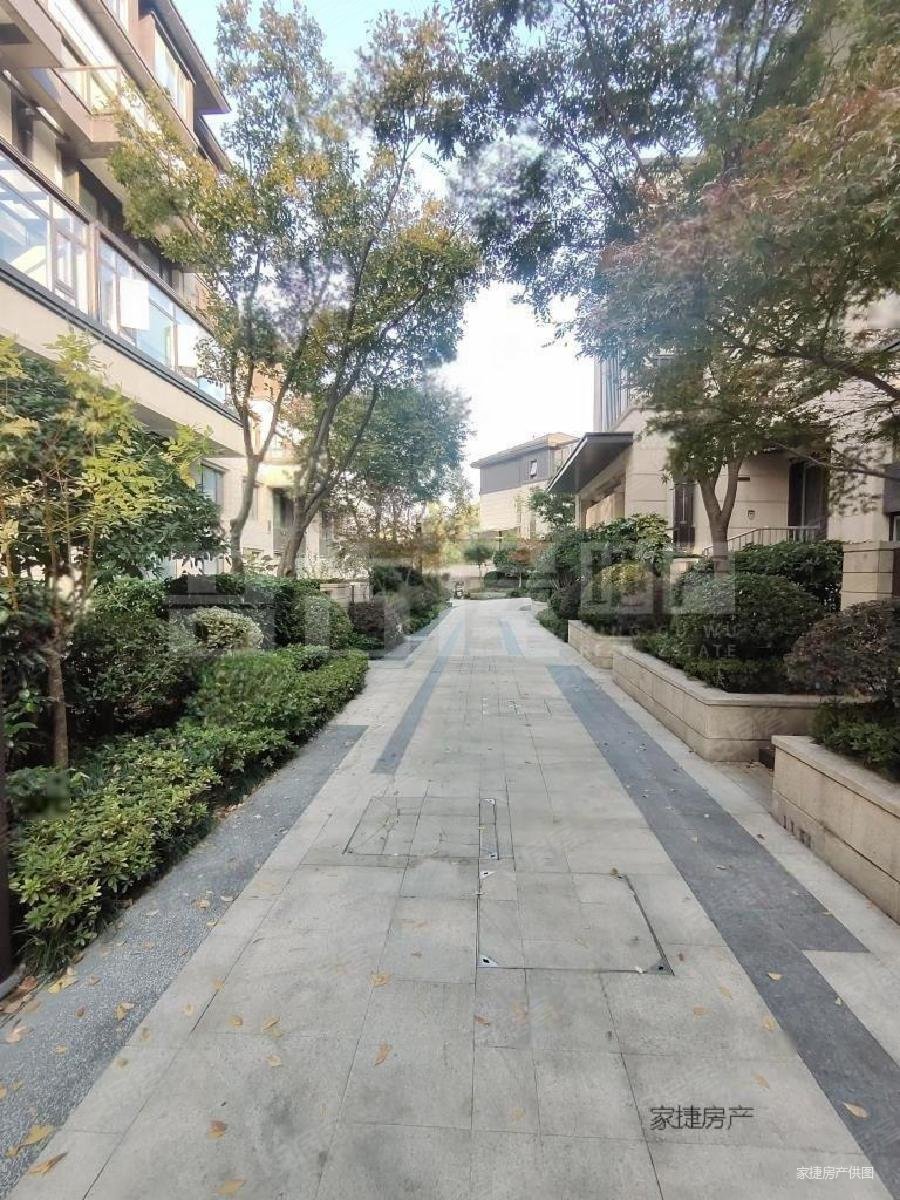 狮子山下狮山原著花园纯别墅区叠加别墅大花园双车位