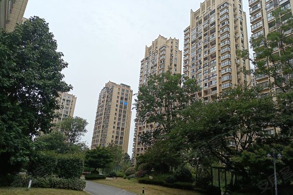 金华小区 兰溪小区 嘉泰星悦城小区 金报御园