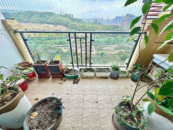 深圳罗湖红岗花园银湖半山花园小区 山景小区 空气清新 车位充足出租