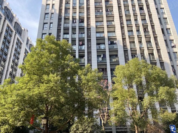 绍兴越城市区环内永和家园八佰伴旁,全新精装家电齐全,可随时拎包入住