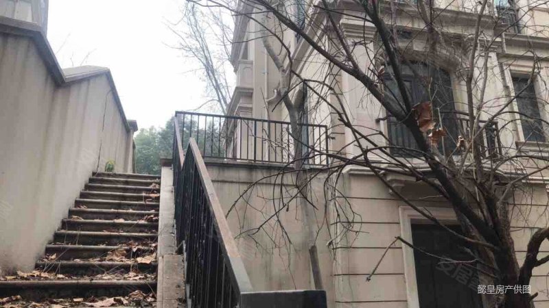 体育场 国宝 法郡把边户 三面花园 无抵押 满两年 随时看房