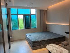 宜兴新街新街中心宜兴骨科医院，全屋智能，押一付一，家电齐全，拎包入住。出租房源真实图片