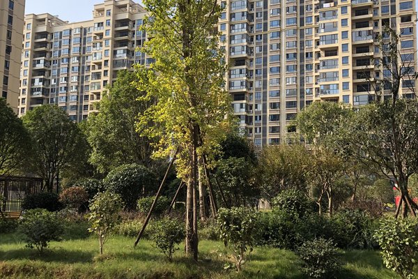 怀化小区 溆浦小区 溆浦城区小区 滨江雅苑