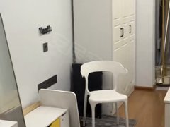 泉州丰泽东海湾万科城市之光(商住楼) 1室1厅1卫  电梯房 精装修出租房源真实图片