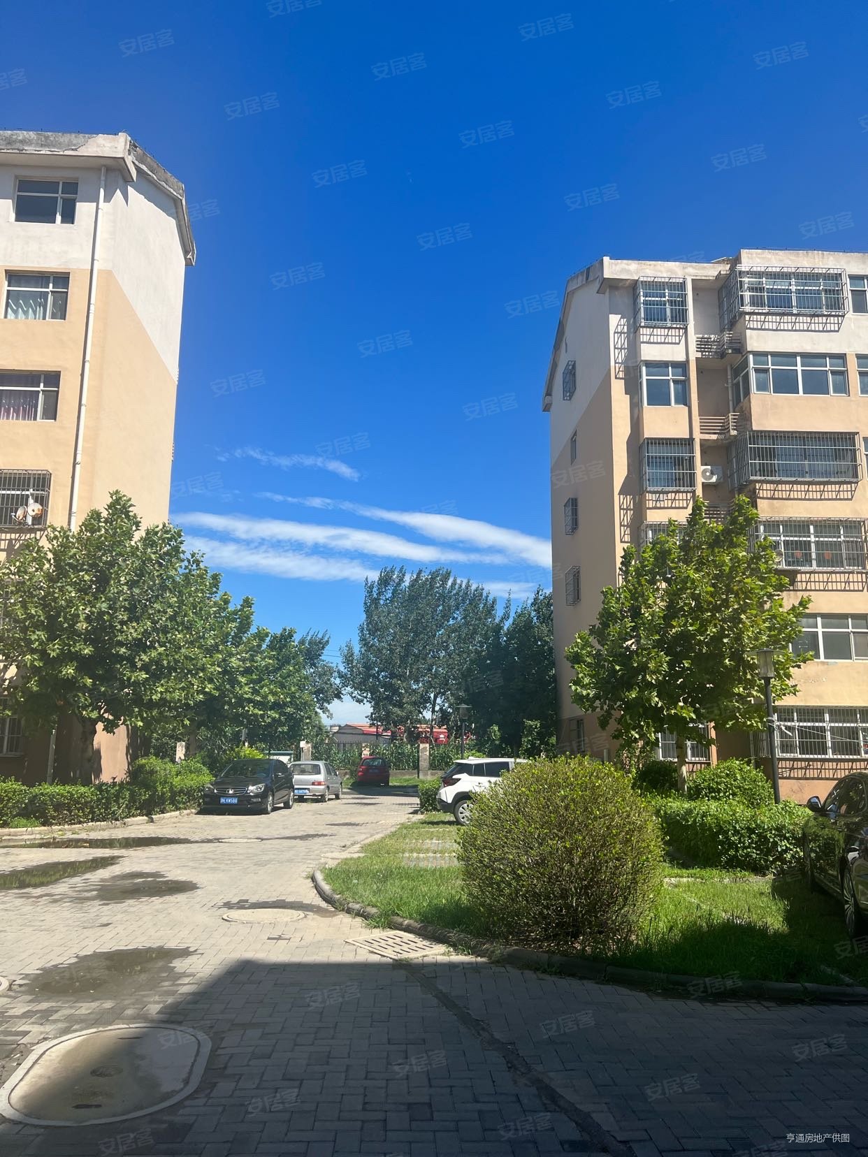 龙湾福泰花园大新路2室2厅1卫972平方米