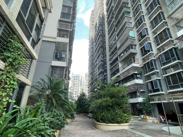 深圳龙华清湖金湖雅苑4号线清湖北300多米花园小区三房3600元明腾中心