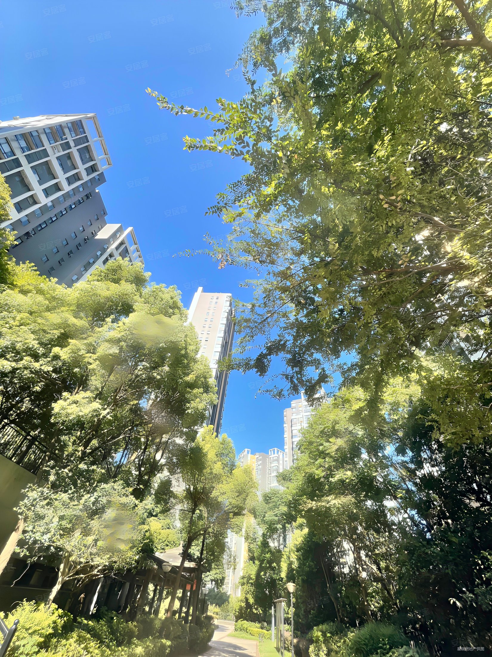 瑞盛云栖谷4室2厅3卫160.71㎡南北128万