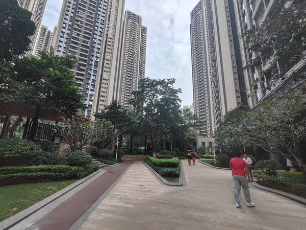 广州荔湾广钢新城中海花湾壹号广钢中海花湾壹号b区 业主自住放租